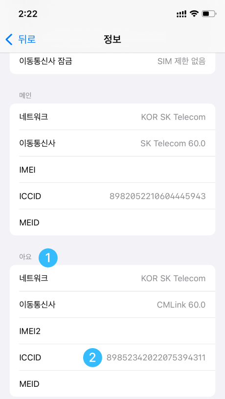 iOS ICCID 확인